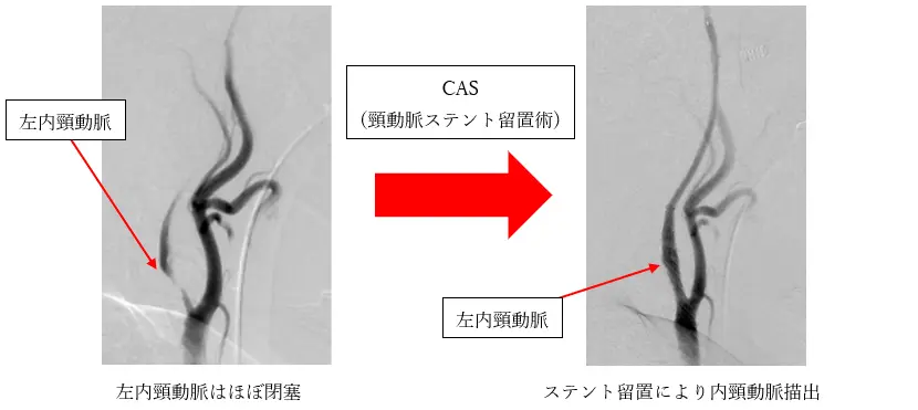 専門ショップ img03-1.jpg.webp 健康・医学